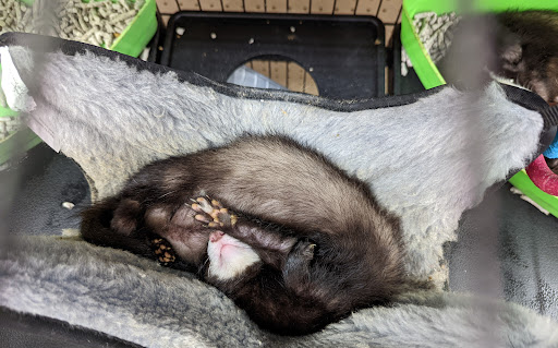 Pet Supply Store «Pet Supplies Plus», reviews and photos, 4121 Buffalo Rd, Erie, PA 16510, USA