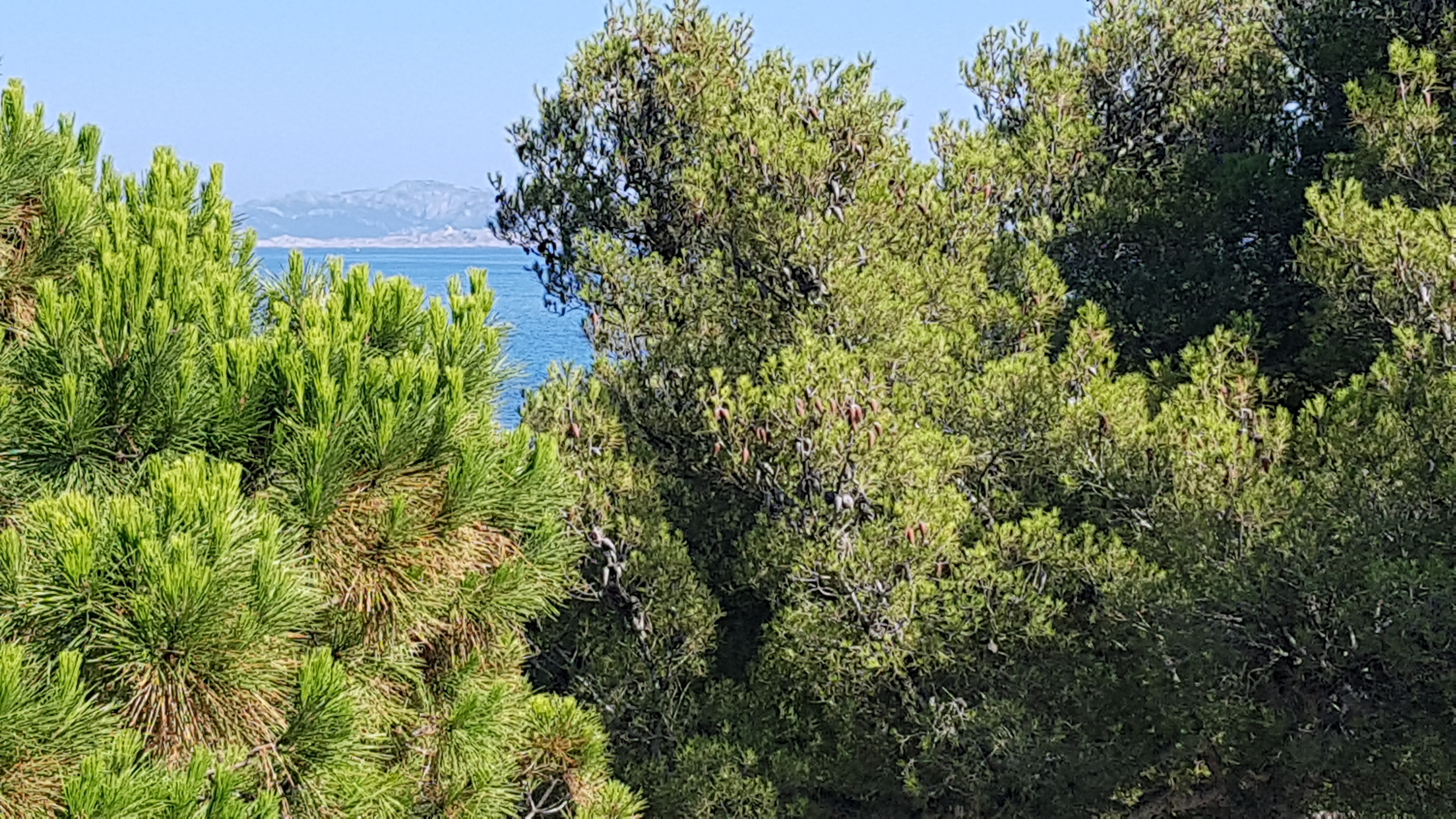 Photo n° 1 de l'avis de Stéphanie.a fait le 24/07/2021 à 12:51
