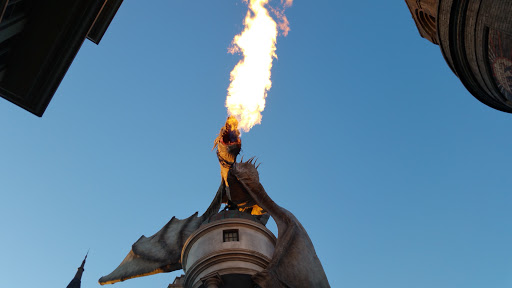 Roller Coaster «Dragon Challenge», reviews and photos, 6000 Universal Blvd, Orlando, FL 32819, USA