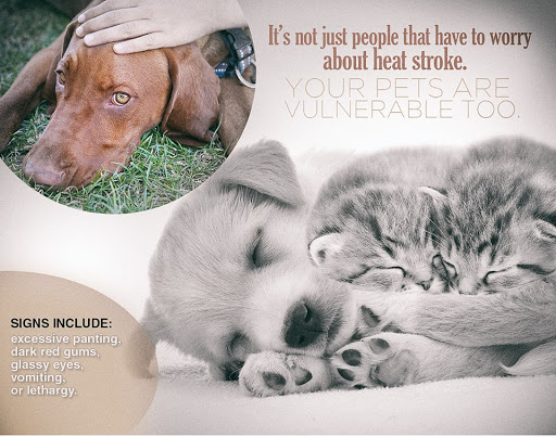 All Creatures Care Cottage image