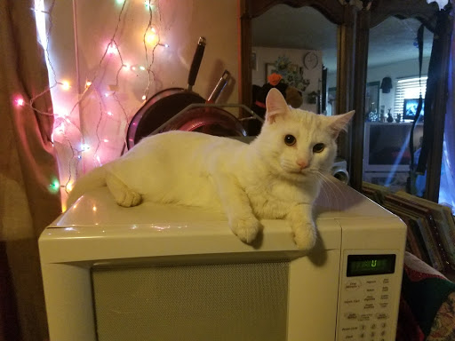 Liquor Store «Mars Hill Liquor Store», reviews and photos, 3129 Collier St, Indianapolis, IN 46221, USA