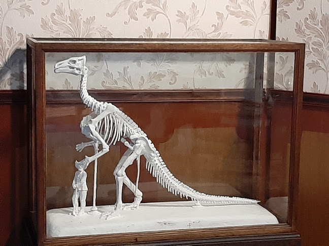 Musée de l'Iguanodon - Museum
