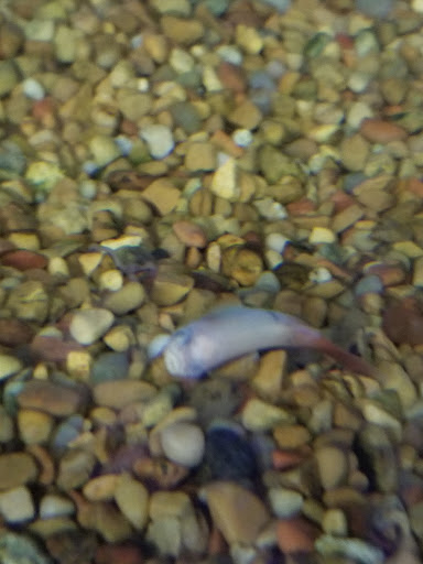 Pet Supply Store «Petco Animal Supplies», reviews and photos, 300 Quaker Ln #3, Warwick, RI 02886, USA