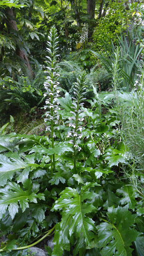 State Park «Willamette Stone State Heritage Site», reviews and photos, 253 NW Skyline Blvd, Portland, OR 97210, USA