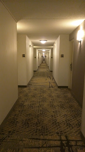 Hotel «Hilton Garden Inn Shelton», reviews and photos, 25 Old Stratford Rd, Shelton, CT 06484, USA