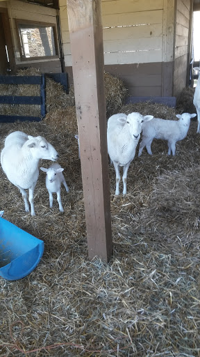 Wedding Venue «Rancho Alegre Farm», reviews and photos, 2225 Givens Rd, Dacula, GA 30019, USA