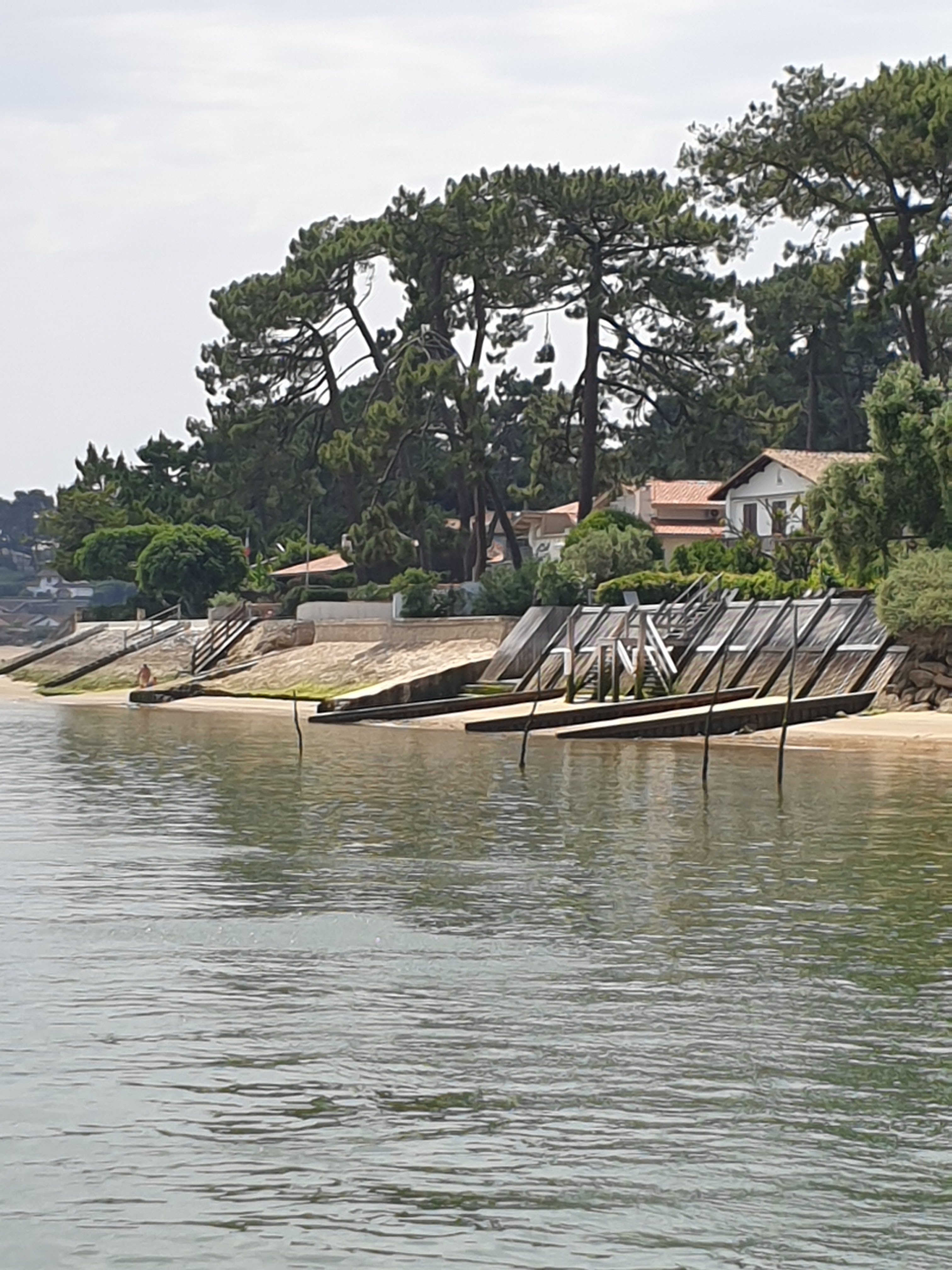 Photo n° 6 de l'avis de Bernard.e fait le 16/06/2021 à 16:54