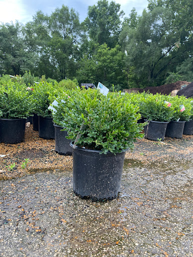 Landscaping Supply Store «Kirkwood Gardens», reviews and photos, 2701 Barrett Station Rd, Ballwin, MO 63021, USA