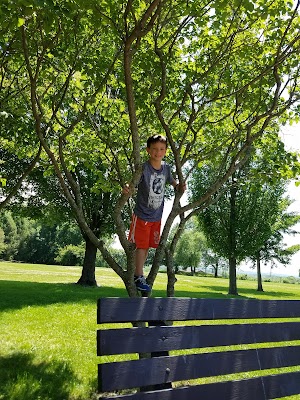 WimanMiss Patties Park - photo 5