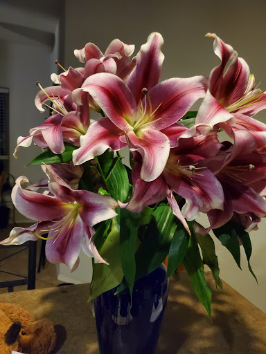 Florist «Arcadia Flowers», reviews and photos, 4835 E Indian School Rd, Phoenix, AZ 85018, USA