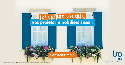 Brice BENOIST conseiller en immobilier IAD FRANCE à Domont