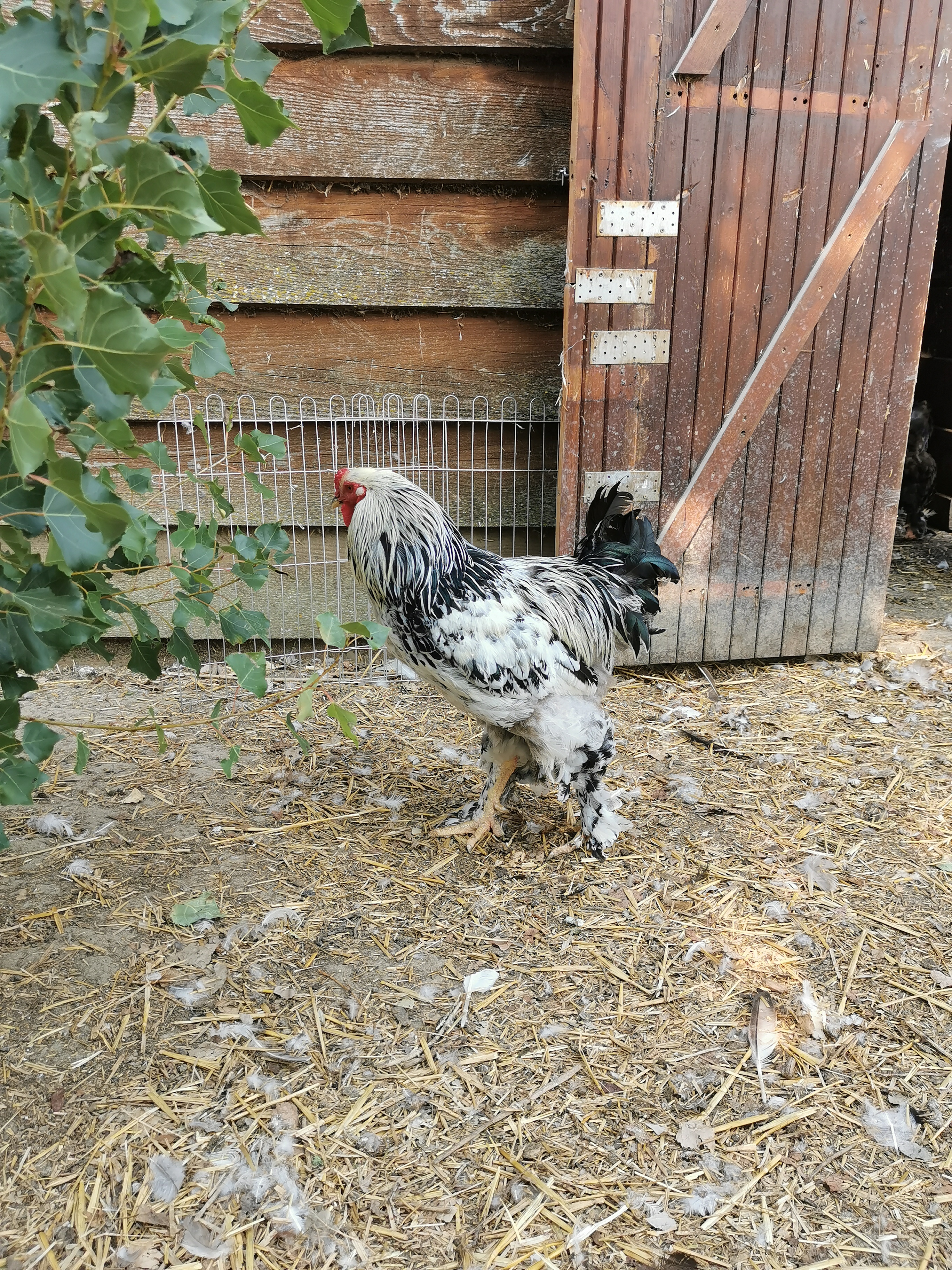 Photo n° 2 de l'avis de A..L fait le 08/12/2020 à 11:06
