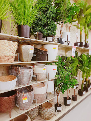 Craft Store «Hobby Lobby», reviews and photos, 5288 Preston Rd, Frisco, TX 75034, USA