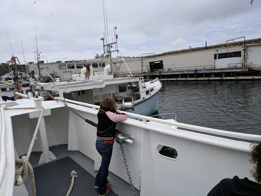 Cruise Agency «Capt. Bill & Sons Whale Watch», reviews and photos, 24 Harbor Loop, Gloucester, MA 01930, USA