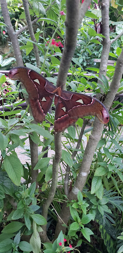 Natural History Museum «Florida Museum of Natural History», reviews and photos, 3215 Hull Rd, Gainesville, FL 32611, USA