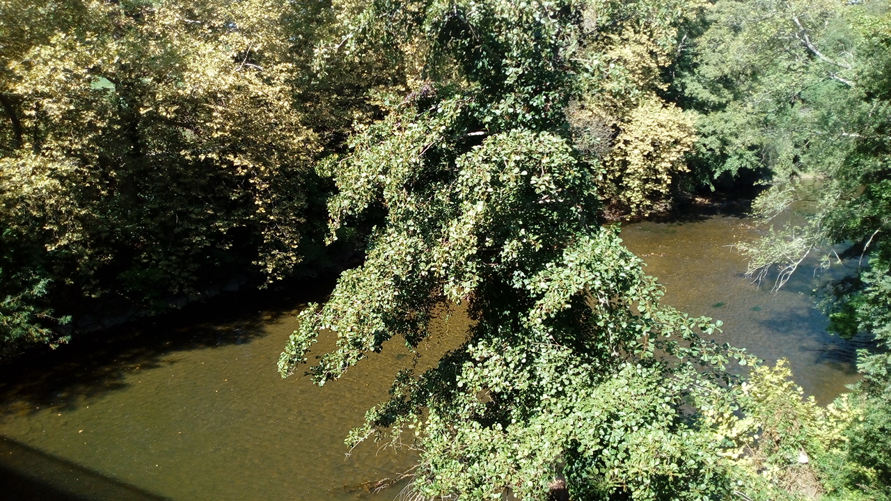 Photo n° 28 de l'avis de Delbart.e fait le 29/09/2019 à 12:17