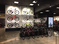 Trek Bicycle Boise West - Photo 8 - Car repair in Boise, ID, Boise