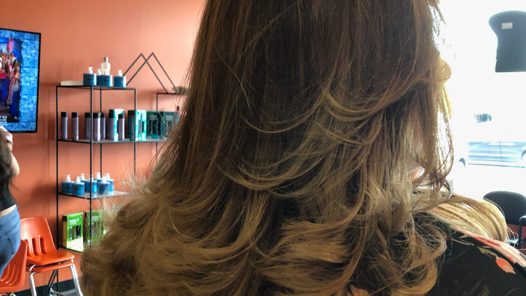 Better Image Hair Salon Inc 60586