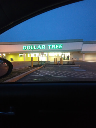 Dollar Store «Dollar Tree», reviews and photos, 4811 Edgmont Ave, Brookhaven, PA 19015, USA