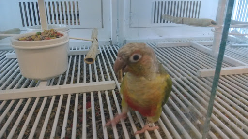 Pet Supply Store «Petco Animal Supplies», reviews and photos, 390 Universal Dr N, North Haven, CT 06473, USA