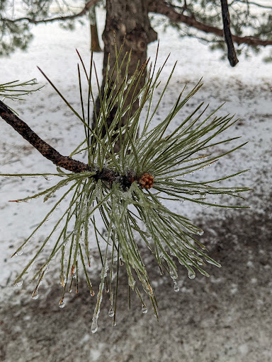 Park «Matthews Park», reviews and photos, 2318 29th Ave S, Minneapolis, MN 55406, USA