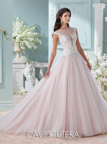 Bridal Shop «Divas Closet Bridal Boutique», reviews and photos, 1034 Merriam Ln, Kansas City, KS 66103, USA