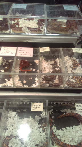 Reptile Store «Cleveland Reptile Show», reviews and photos, 17250 Hummel Rd, Brook Park, OH 44142, USA