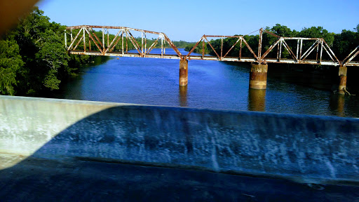 National Forest «Francis Marion National Forest», reviews and photos, 2967 Steed Creek Rd, Huger, SC 29450, USA