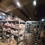 Photo n° 5 de l'avis de Lucas.i fait le 28/04/2024 à 00:34 pour Gueuleton à Castelnaudary