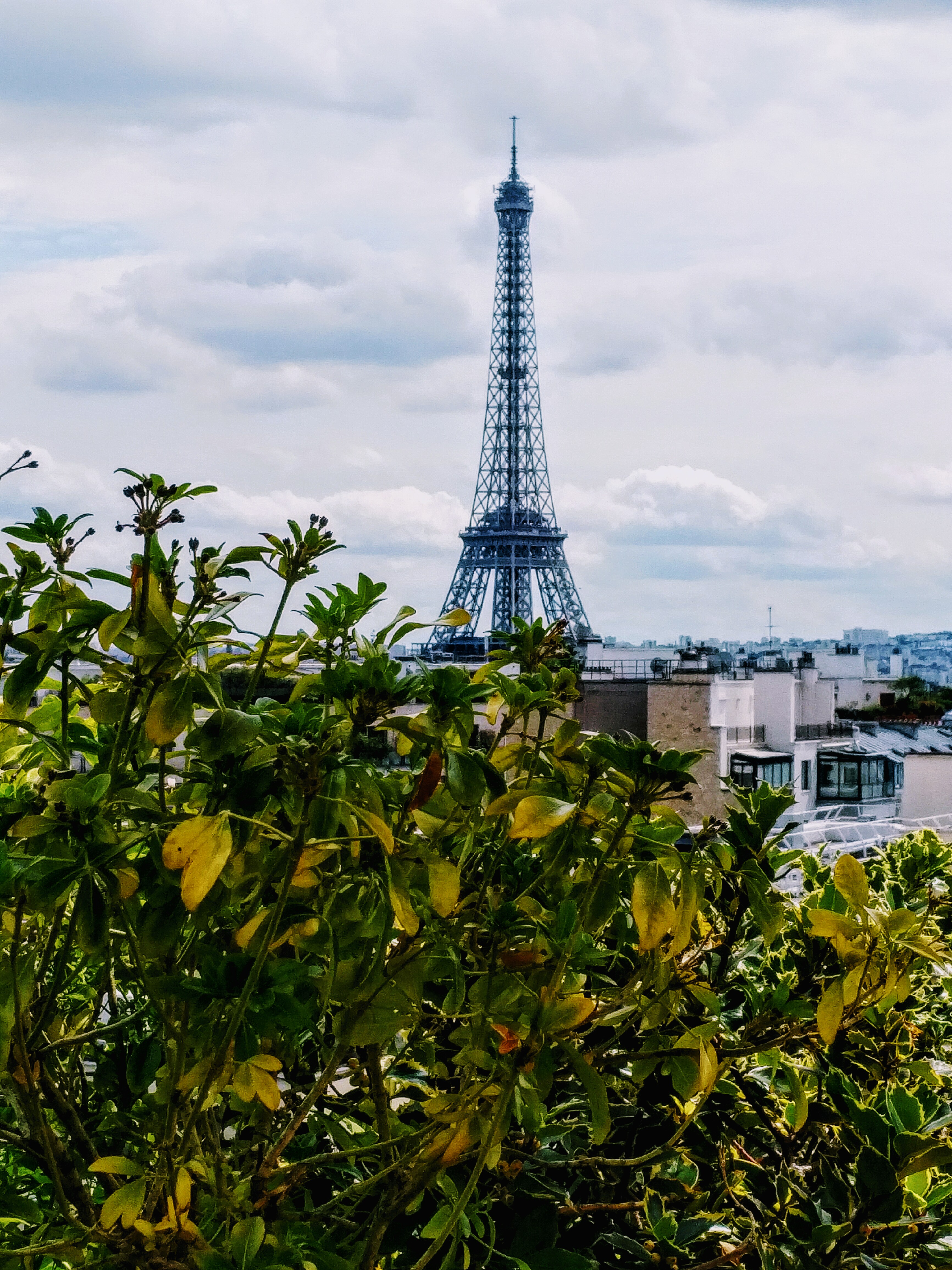 Photo n° 3 de l'avis de Ginevra.L fait le 14/06/2019 à 22:38