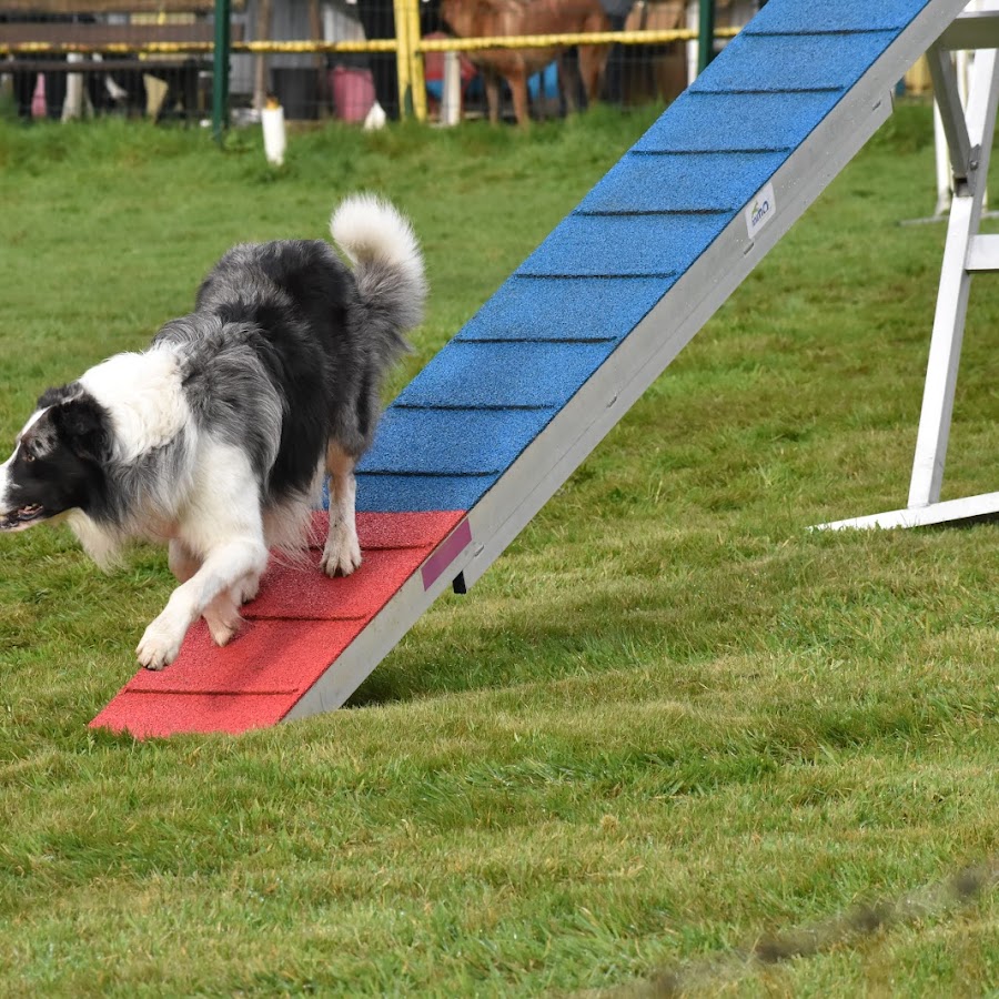 Club Canin de l'Iroise