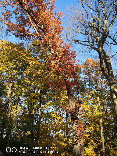 Park «Paws Place Dog Park», reviews and photos, Broadfield Rd, New Rochelle, NY 10804, USA