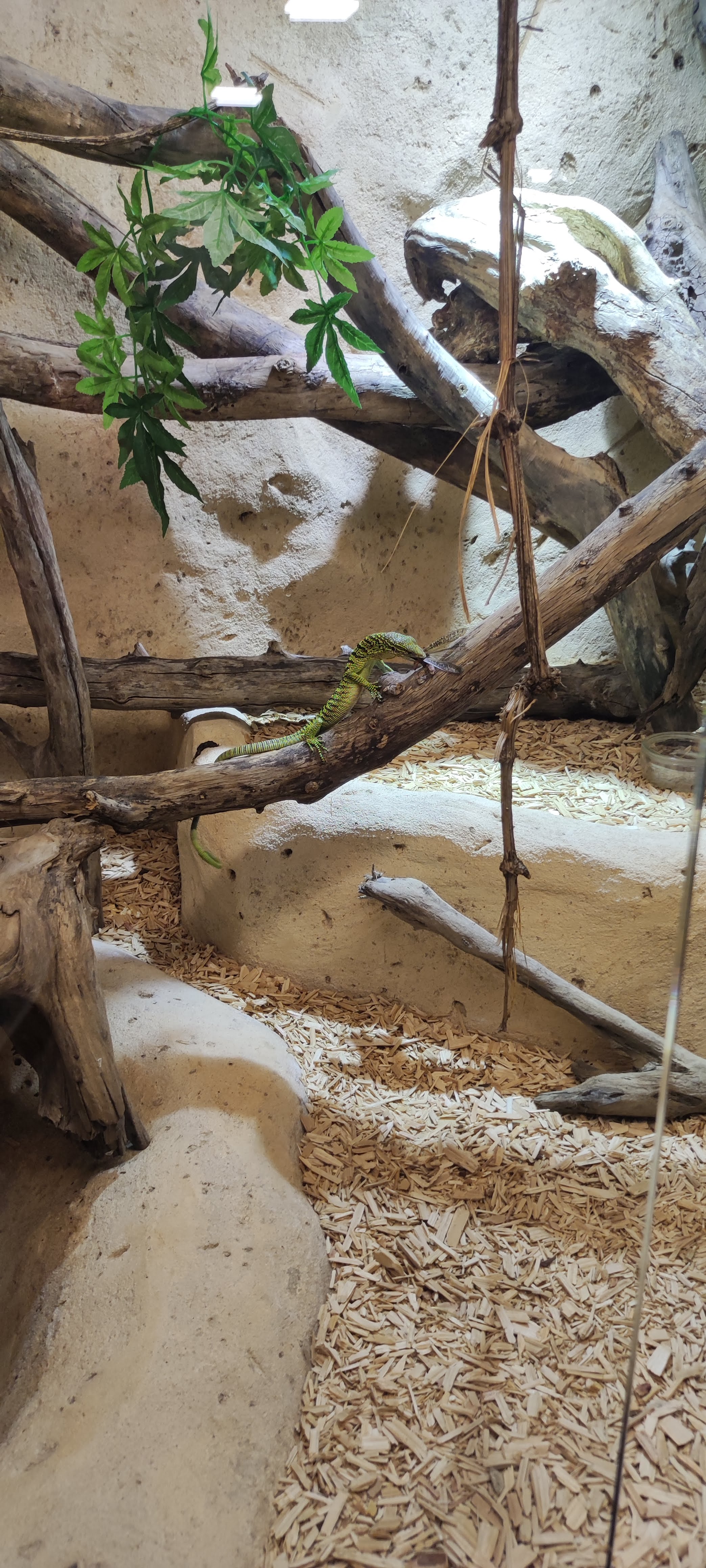 Photo n° 24 de l'avis de Yannick.o fait le 11/02/2023 à 16:29