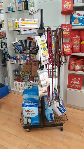 Pet Store «South Beach Pet Shop», reviews and photos, 634 6th St, Miami Beach, FL 33139, USA