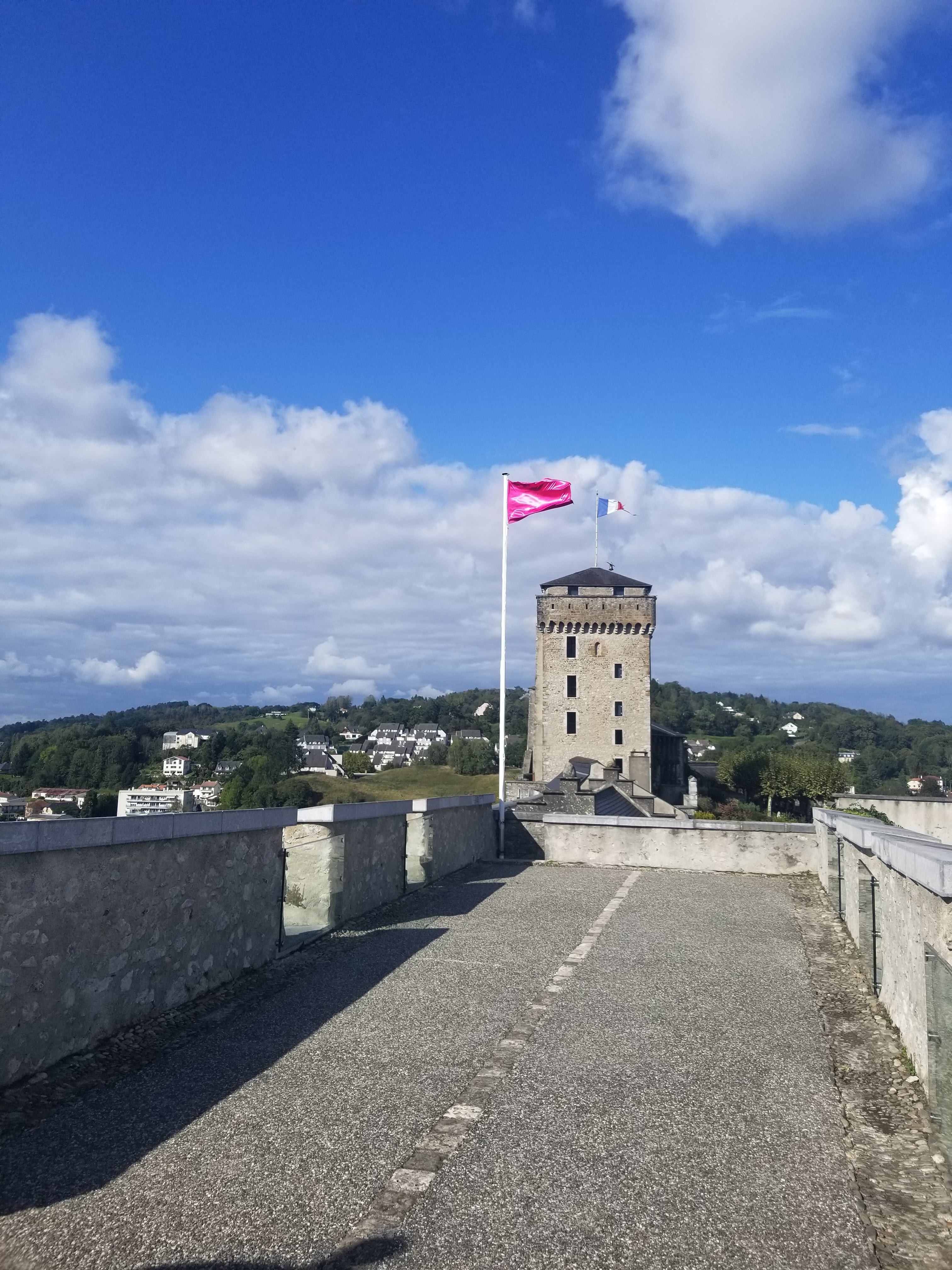 Photo n° 9 de l'avis de choupette. fait le 09/10/2021 à 12:52