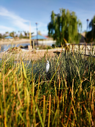 Park «Lorenzi Park», reviews and photos, 3343 W Washington Ave, Las Vegas, NV 89107, USA