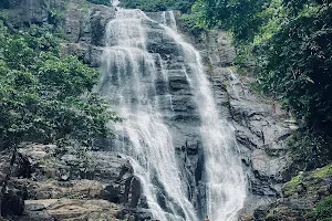 Aruvikachal Waterfalls image