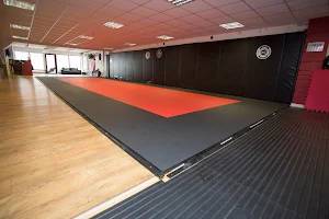 Arklow Jiu Jitsu Academy image