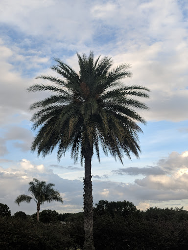 Golf Course «Reunion Resort Golf Course», reviews and photos, 7593 Gathering Dr, Kissimmee, FL 34747, USA