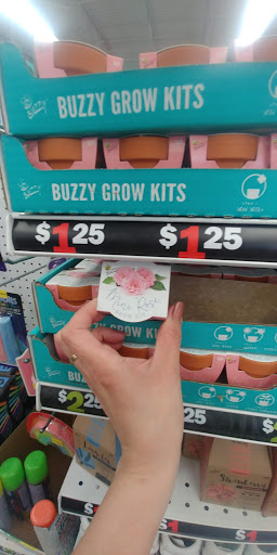 Variety Store «Five Below», reviews and photos, 1255 Raritan Rd, Clark, NJ 07066, USA