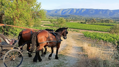 Les Traits du Lub' à Gordes