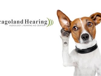 Chicagoland Hearing Aid Centers - South Loop