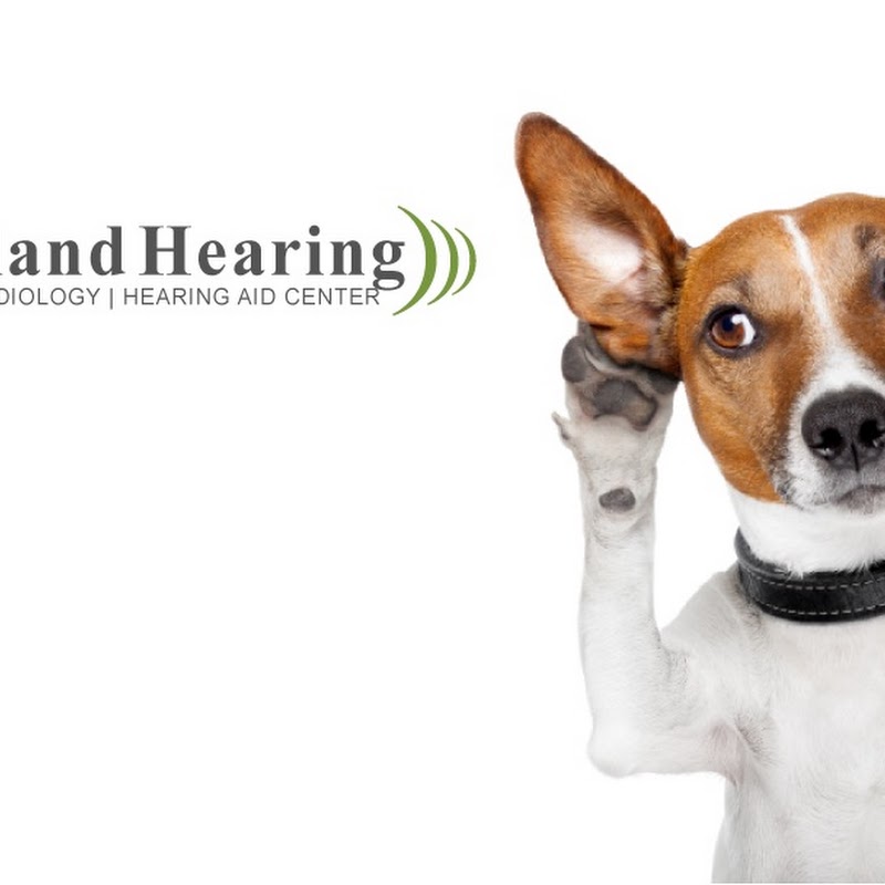 Chicagoland Hearing Aid Centers - South Loop