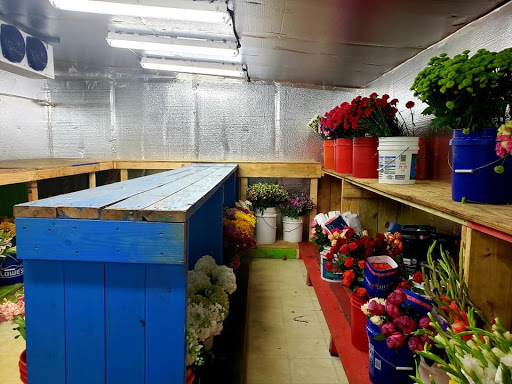 Florist «Moates Florist», reviews and photos, 5034 N Nebraska Ave, Tampa, FL 33603, USA