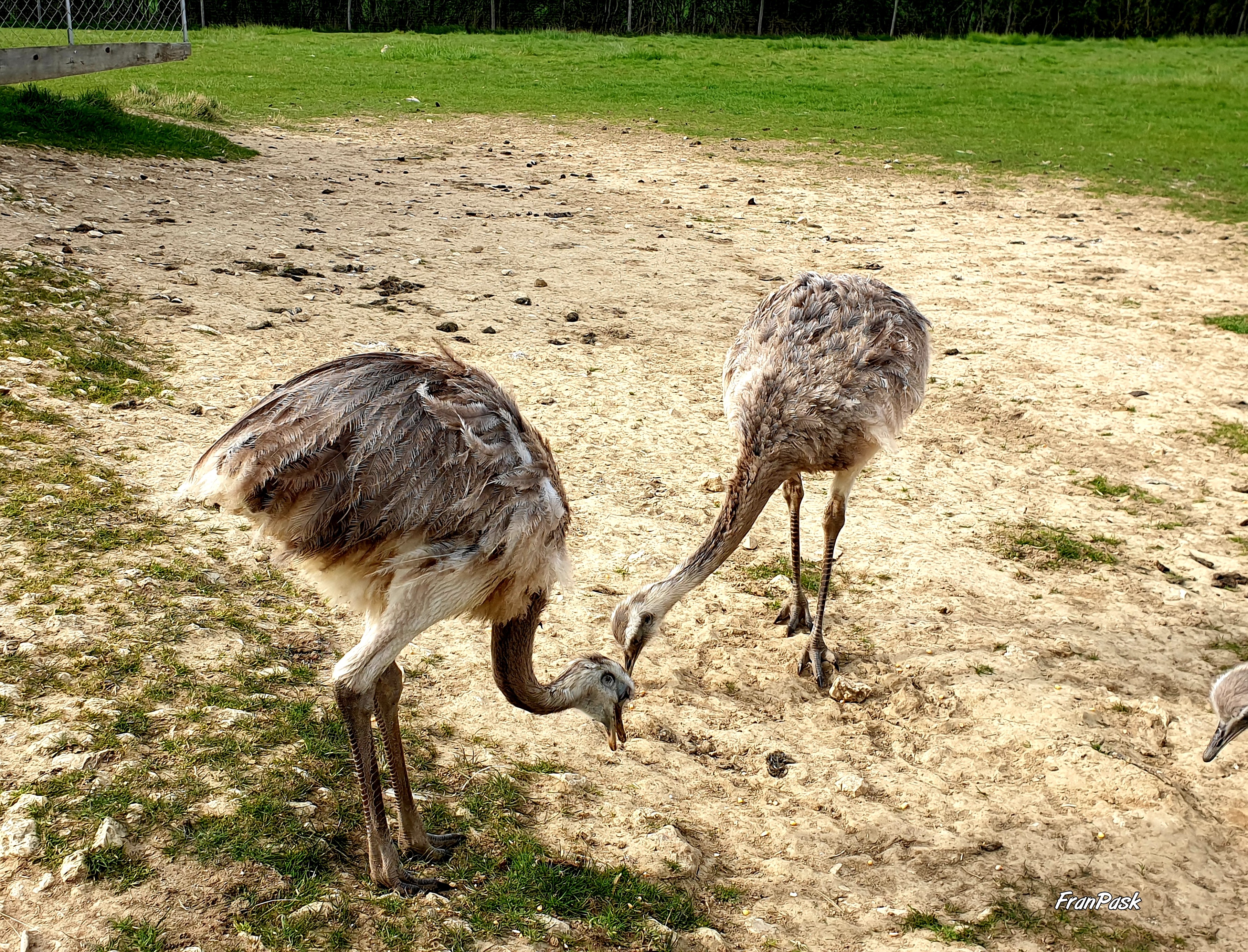Photo n° 15 de l'avis de Frane.a fait le 15/04/2019 à 16:06