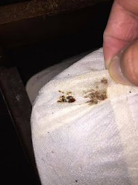 Boatner's Pest Management