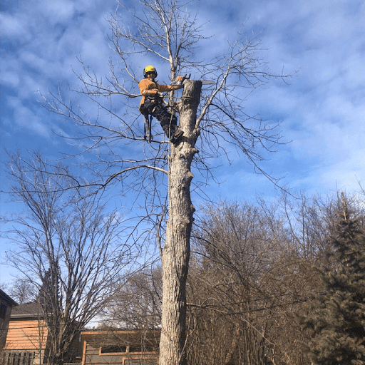 Valleywide Tree Service & Landscaping