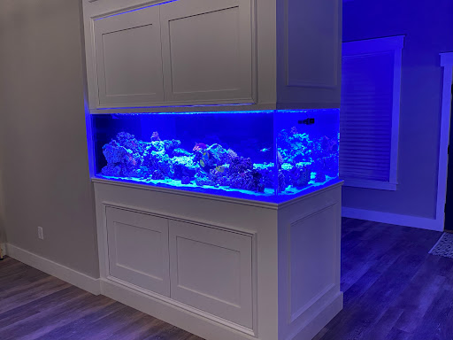 Tropical Fish Store «Glasscages.com LLC», reviews and photos, 1500 E Piney Rd, Dickson, TN 37055, USA