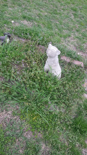 Wildlife Rescue Service «In-Sync Exotics», reviews and photos, 3430 Skyview Dr, Wylie, TX 75098, USA