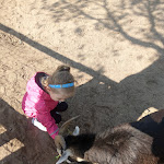 Photo n°1 de l'avis de laila. fait le 05/05/2020 à 11:13 sur le  Ferienhaus Brandenburg a.d. Havel Am breiten Bruch 46 à Brandenburg